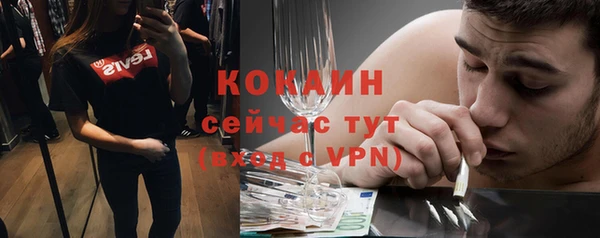 ешки Алексеевка
