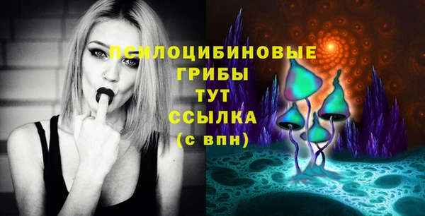 ешки Алексеевка