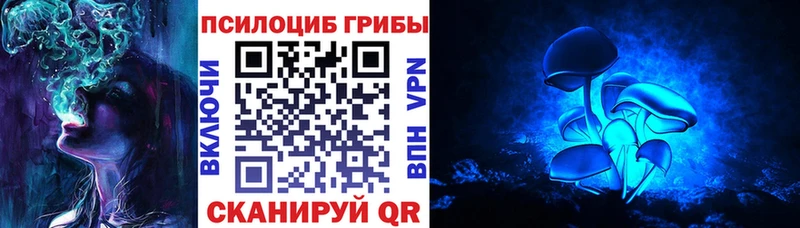 Галлюциногенные грибы Psilocybe  как найти закладки  Лагань 